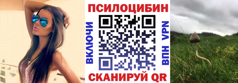Галлюциногенные грибы прущие грибы  Венёв 